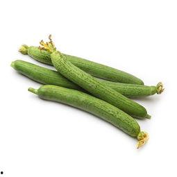 水瓜适合小孩子吃吗视频,儿童饮食新选择,营养美味两不误 水瓜适合小孩子吃吗视频,儿童饮食新选择,营养美味两不误