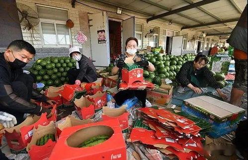 现场实拍吃瓜群众图片视频,吃瓜群众围观，热闹非凡一幕