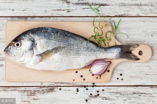 小鱼爱吃鱼的吃瓜视频