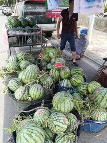 贵州兴义吃瓜事件视频曝光,视频曝光引发社会关注