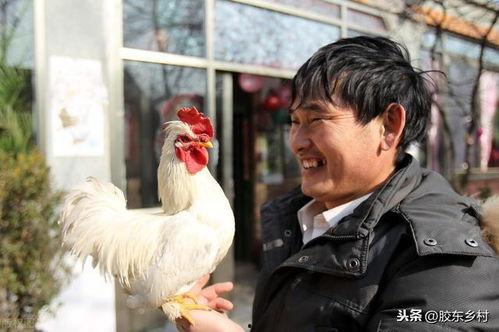 朱之文正在吃瓜的视频,现场趣味十足