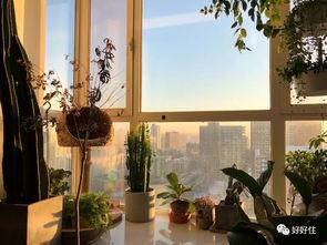 吃瓜落地窗视频在线观看