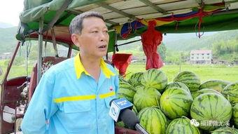 尤溪铺头吃瓜事件视频,一场引发热议的网络风波