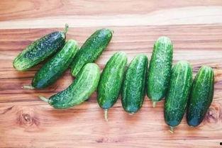 粉线瓜怎么吃最好吃视频,视频教你最佳食用方法