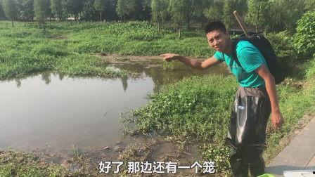 沙河公园视频吃瓜微博,网友热议吃瓜现场